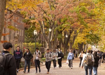 Students talking on a path in the fall