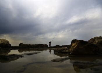 West Coast, Messed Coast™ — Oregon Is a Step Closer to Outlawing Hunting and Gathering – PJ Media