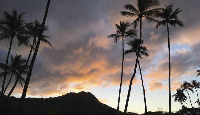 ‘Affordable Housing’? Hawaii Official Used Lucrative Government Contracts to Get Bribes – PJ Media