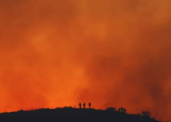 Wildfires are making the U.S. smoggy again, reversing progress on cleaner air, study finds