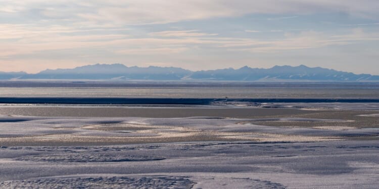 Limited interest in latest oil and gas lease sale for Alaska’s Arctic National Wildlife Refuge