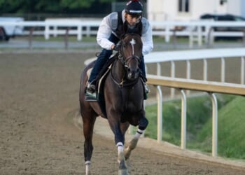 Golden Tempo set for Belmont Stakes after historic Derby win