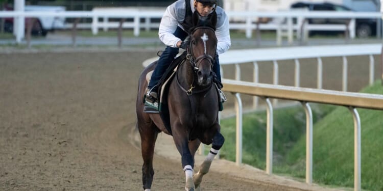 Golden Tempo set for Belmont Stakes after historic Derby win