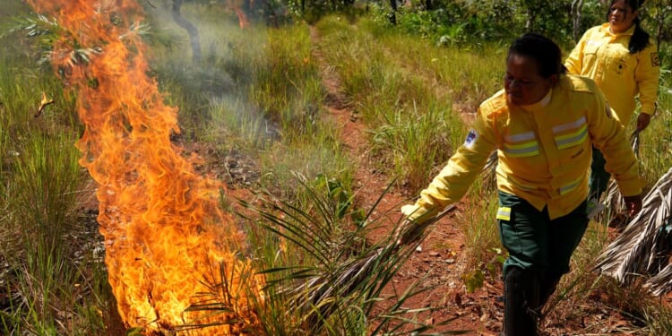 In Brazil’s Cerrado region, Indigenous fire practices reshape wildfire strategy