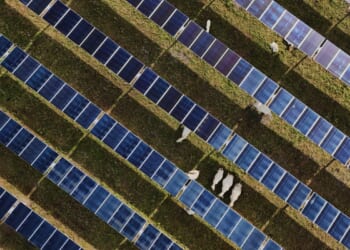 Solar power hits new milestones in the U.S. even as Trump boosts coal over clean energy