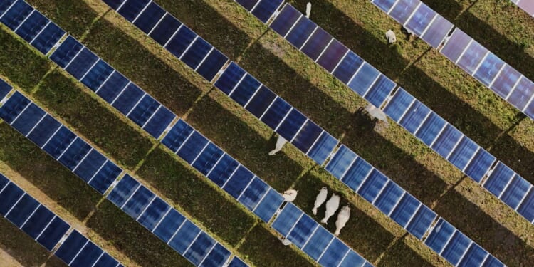 Solar power hits new milestones in the U.S. even as Trump boosts coal over clean energy