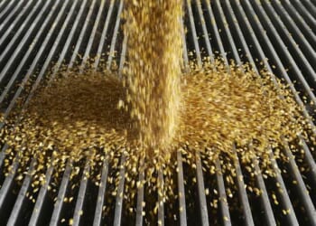 India Should Abandon Its Ethanol Illusion – PJ Media