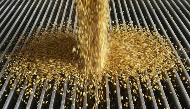 India Should Abandon Its Ethanol Illusion – PJ Media