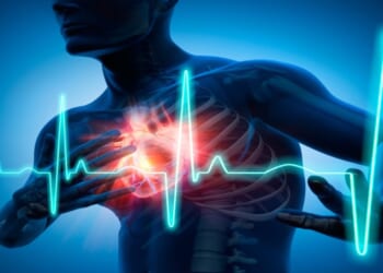 “Almost everyone forgets their heart is a muscle. And like any muscle, it needs protein-like nutrients to stay strong.”