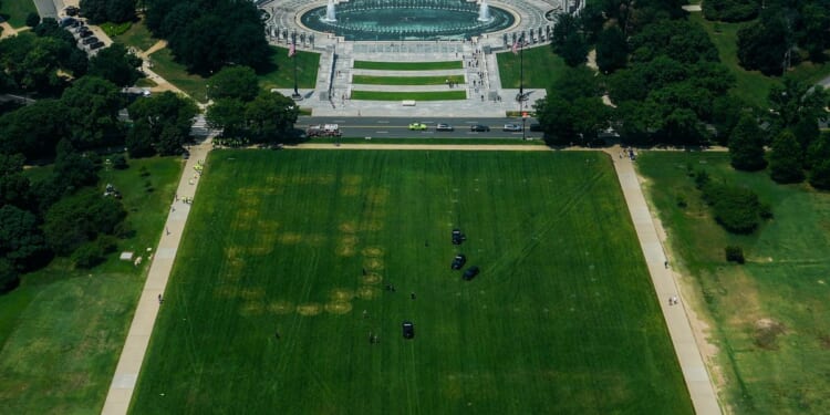 Feds investigating ‘8647’ markings on the grass of the National Mall