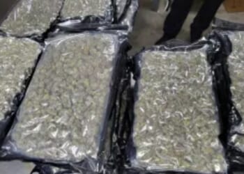 U.S. agents at border near Buffalo find 1,600 pounds of marijuana