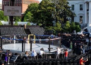 UFC fans tout love of sport, country at Freedom 250 events