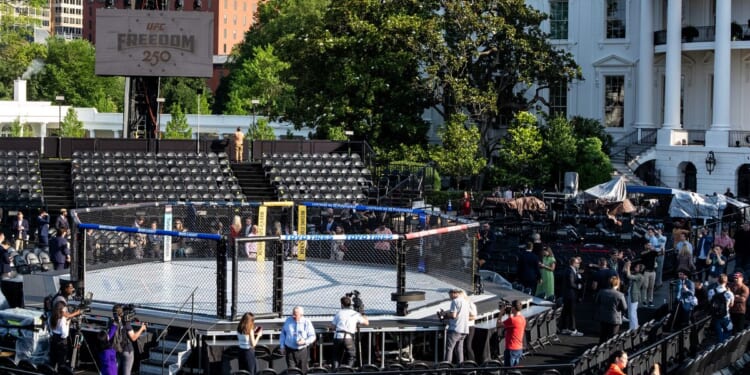 UFC fans tout love of sport, country at Freedom 250 events