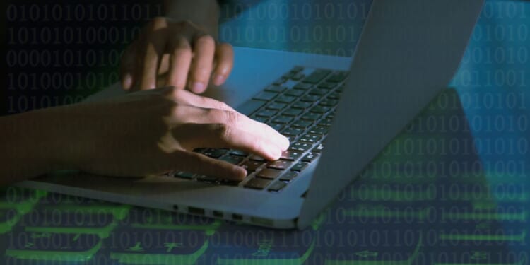 Florida man pleads guilty to child porn charges tied to violent extremist network 764