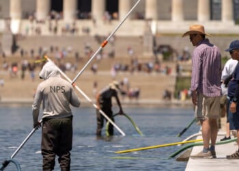 Trump says vandalism at Reflecting Pool will force drainage for ‘necessary repairs’