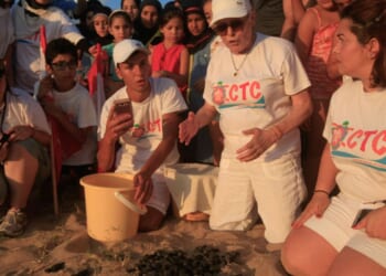 Mourners gather in Beirut to pay respects to Lebanese conservationist who died after Israeli strike