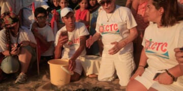 Mourners gather in Beirut to pay respects to Lebanese conservationist who died after Israeli strike