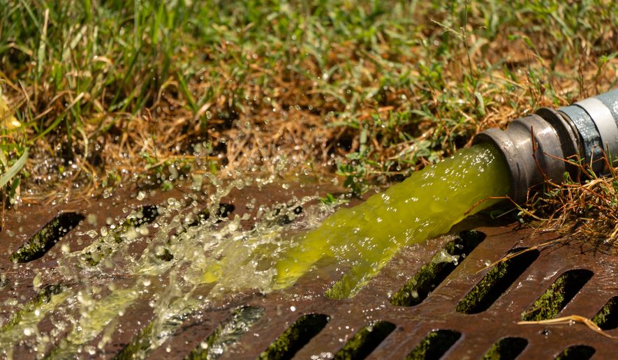 Water from a vacuum line being used by National Park Service employees to clean the Lincoln Memorial Reflecting Pool pours into a nearby drain, Saturday, June 20, 2026, in Washington. (AP Photo/Mark Schiefelbein)