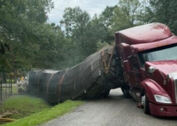 Millions of honeybees escape into a rural Texas neighborhood after a semitrailer crash