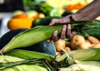Iranian official trashes talk of buying U.S. farm products, underscoring tensions with Washington