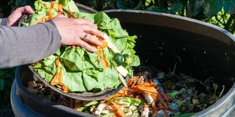 The $3,000 problem hiding in your kitchen