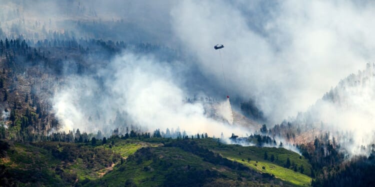 3 firefighters killed, 2 injured while tackling wildfires on the Colorado-Utah border