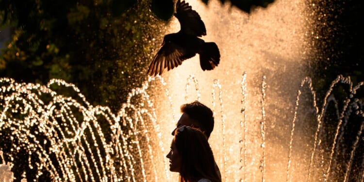 France records around 1,000 additional deaths as extreme heat sets European records