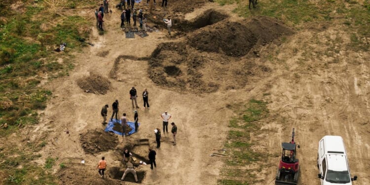 At least 117 dead dogs found in ‘horrific scene’ at California ‘no-kill’ shelter