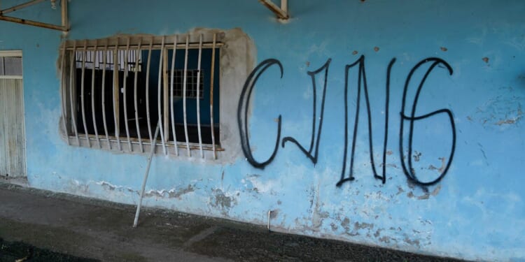 Chinese national pleads guilty to cocaine smuggling, CJNG terror support
