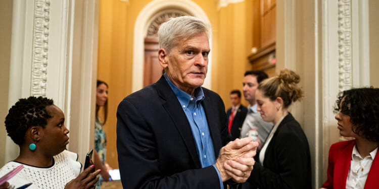 Senator Bill Cassidy