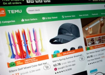 The Temu website user interface is shown on a computer.
