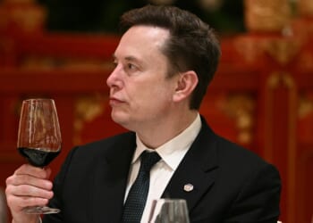 Elon Musk holding a wine glass