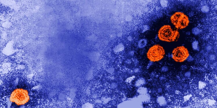 A 1981 microscopic photo of Hepatitis B is pictured.