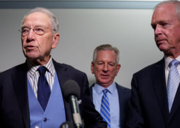 Senate Judiciary Committee Chairman Sen. Chuck Grassley, R-Iowa, and Sen. Ron Johnson, R-Wis. (Andrew Harnik/Getty Images)