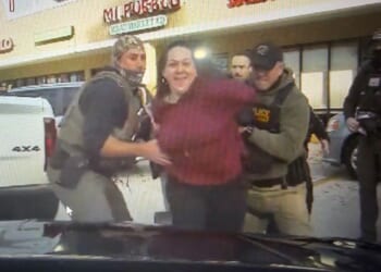 Facing 20 Years, $250k Fine, Nazi-Obsessed, Anti-ICE Woman Pleads Guilty to Punching Officer in Face