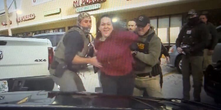 Facing 20 Years, $250k Fine, Nazi-Obsessed, Anti-ICE Woman Pleads Guilty to Punching Officer in Face
