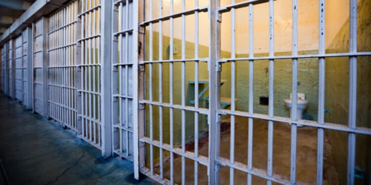A row of locked prison cells.