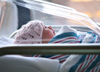 Politics and Parenthood: Why Liberals Are Having Fewer Kids Than Conservatives