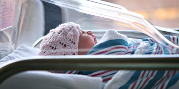 Politics and Parenthood: Why Liberals Are Having Fewer Kids Than Conservatives