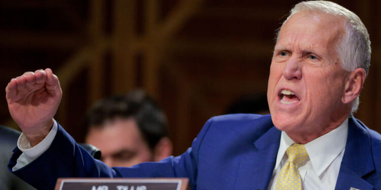 Thom Tillis i