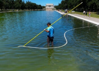 A U.S. National Park Service employee uses a vacuum pump to clean algae off the bottom of the newly repainted Lincoln Memorial Reflecting Pool on the National Mall on June 16, 2026, in Washington, D.C.