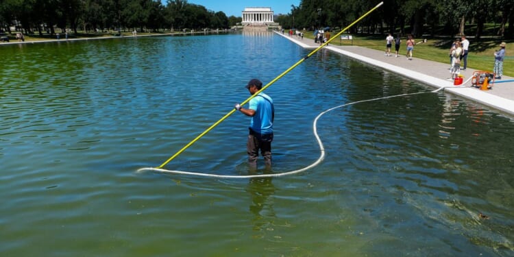 A U.S. National Park Service employee uses a vacuum pump to clean algae off the bottom of the newly repainted Lincoln Memorial Reflecting Pool on the National Mall on June 16, 2026, in Washington, D.C.