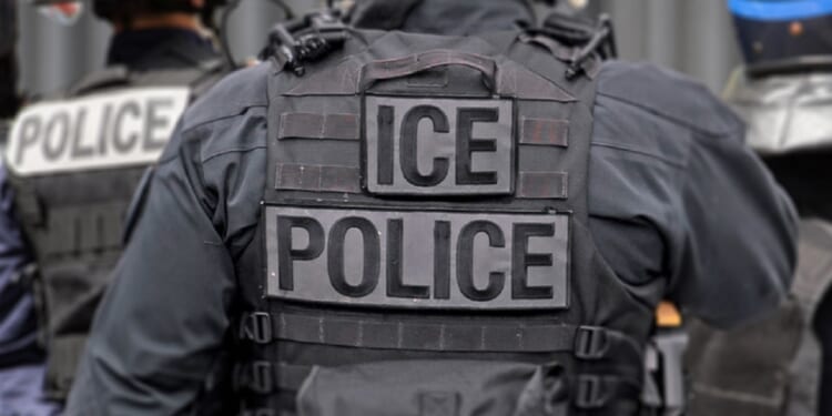And Immigration and Customs Enforcement agent is seen from behind in a file photo.