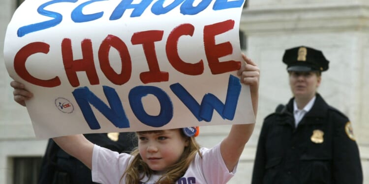 Girl holding a sign that says "school choice now"