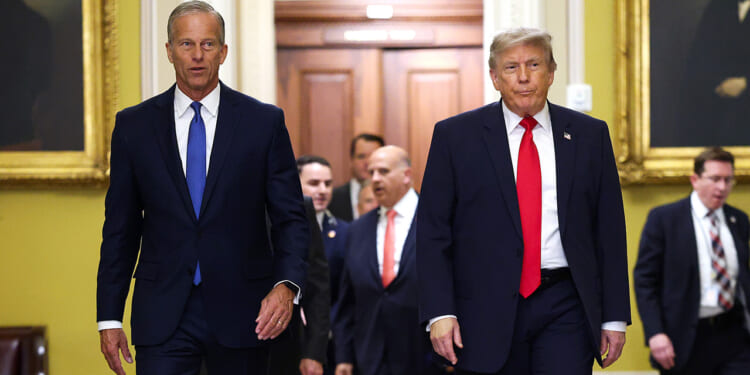 Thune and Trump