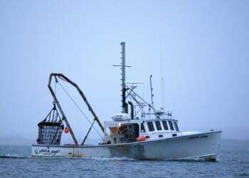 Trump lifts Biden/Obama ban on fishermen accessing booming scallop fishing grounds