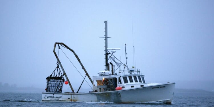 Trump lifts Biden/Obama ban on fishermen accessing booming scallop fishing grounds