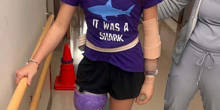 Shark attack on Alabama teen inspires the start of a national alert system