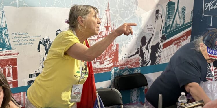 Massachusetts woman runs Great American State Fair booth left barren by governor
