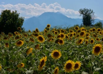 Mount Olympus, home of the ancient Greek gods, vies for World Heritage status